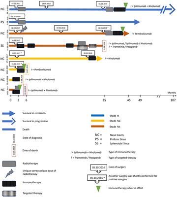 Mucosal Melanoma of the Head and Neck: A Retrospective Review and Current Opinion